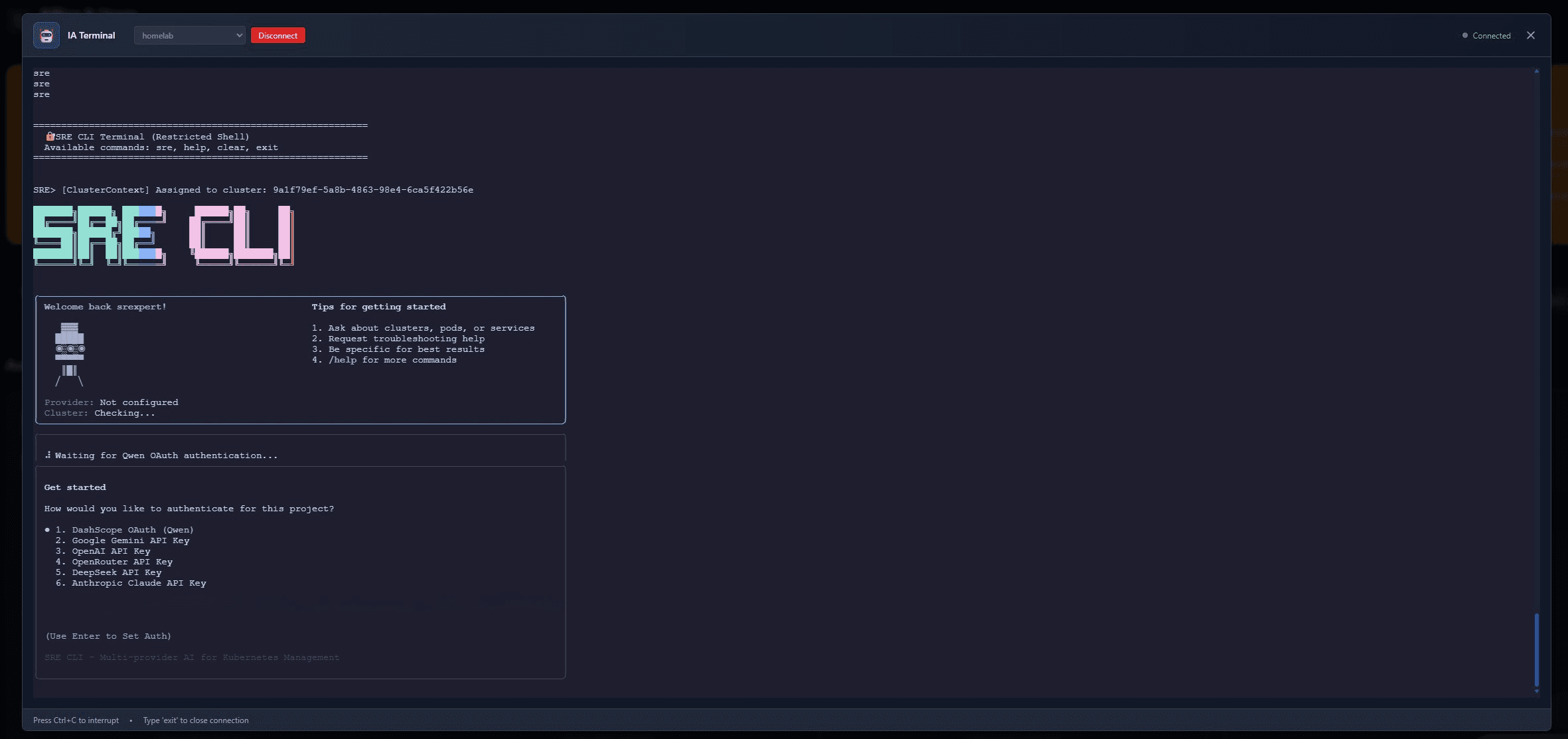 Connect with the SRE CLI